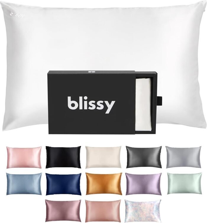 Blissy Silk Pillowcase - 100% Pure Mulberry Silk - 22 Momme 6A High-Grade Fibers - Silk Pillow Cover for Hair & Skin - Regular, Queen & King with Hidden Zipper (Standard,Blissy White)