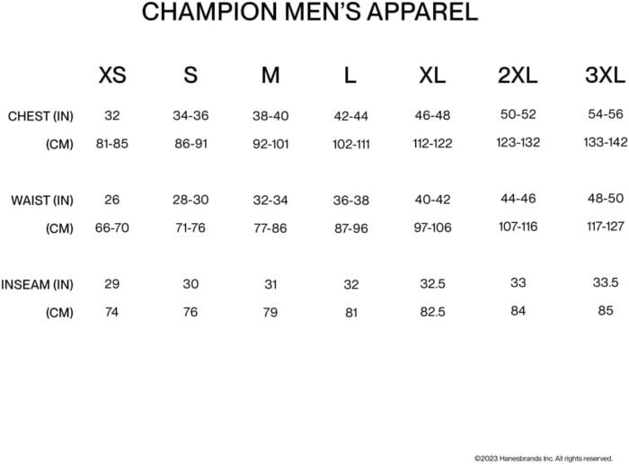 Champion, Powerblend, Fleece Comfortable Hoodie, Sweatshirt for Men (Reg. Or Big & Tall) - Image 6
