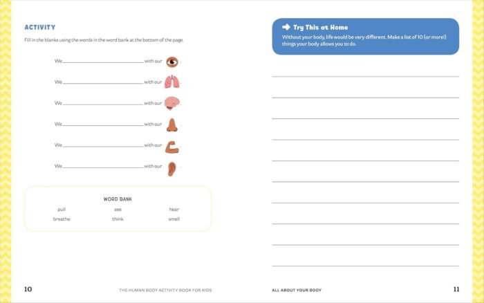 Human Body Activity Book for Kids: Hands-On Fun for Grades K-3 - Image 8