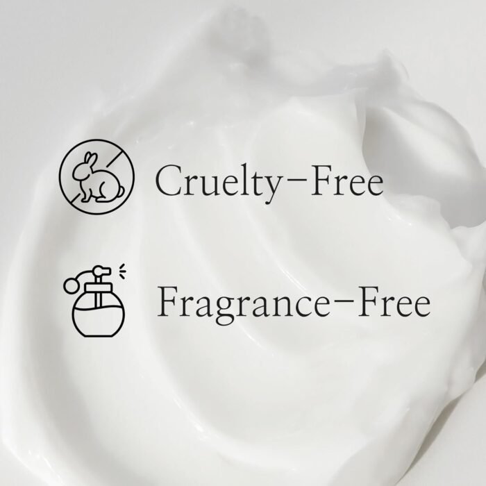 Beauty of Joseon Dynasty Cream Hydrating Face Moisturizer for Dry, Sensitive Skin, Korean Skincare for Men and Women 50ml, 1.69 fl.oz - Image 4