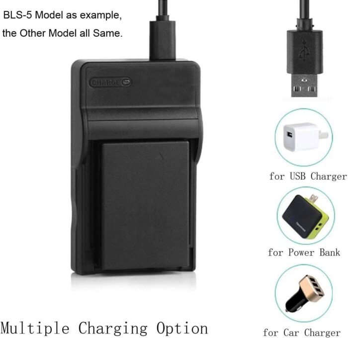 Battery Charger for Sony NP-FR1 InfoLITHIUM Type R and Cyber-Shot DSC-G1, DSC-V3, DSC-T30, DSC-T50, DSC-F88, DSC-P100, DSC-P120, DSC-P150, DSC-P200 Digital Camera - Image 6