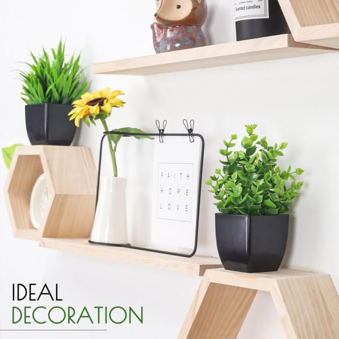 Der Rose 2 Pack Fake Plants Small Artificial Potted Plants Faux Plants Black Bathroom Accessories for Home Office Desk Bathroom Decor Indoor - Image 7