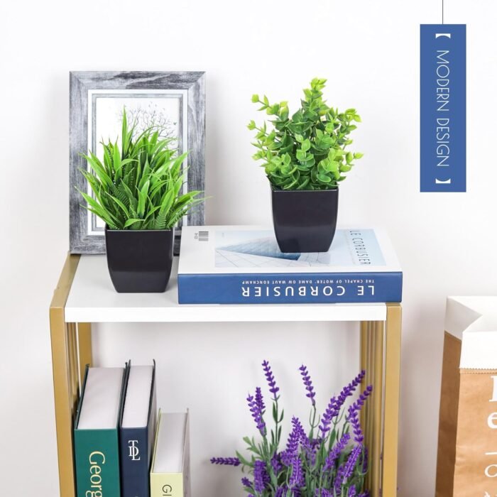 Der Rose 2 Pack Fake Plants Small Artificial Potted Plants Faux Plants Black Bathroom Accessories for Home Office Desk Bathroom Decor Indoor - Image 6