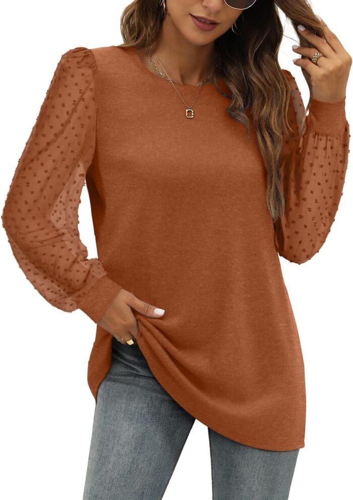 WIHOLL Long Sleeve Shirts for Women Tops Tunic Fall Trendy Crew Neck Clothes - Image 4