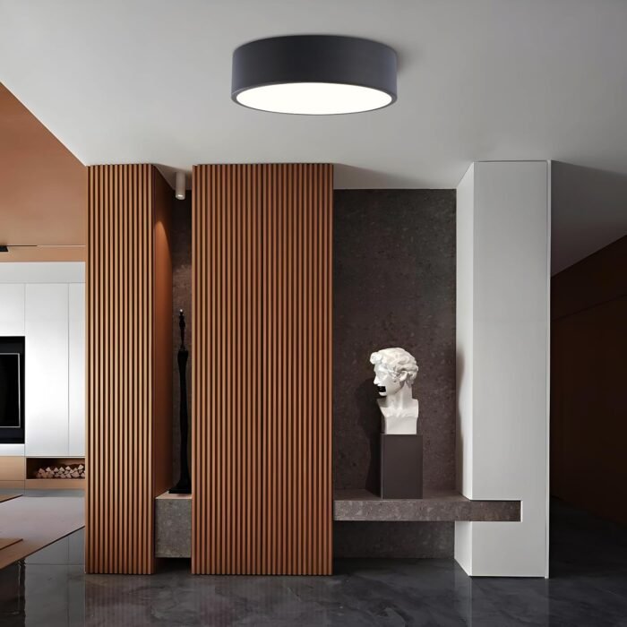 Modern Dimmable Round LED Flush Mount Ceiling Light Fixture, Mounted Ceiling Lighting Fixtures Black,5CCT 2700-6000K,Ceiling Lamp for Kitchen Hallway Bedroom Laundry Room Hall Entryway,11.8" - Image 8