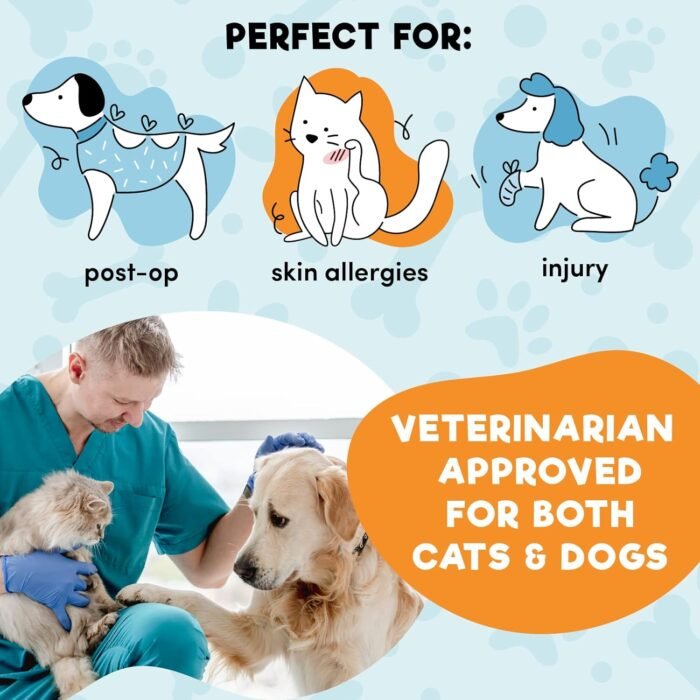 BENCMATE Protective Inflatable Collar for Dogs and Cats - Soft Pet Recovery Collar Does Not Block Vision E-Collar (XLarge, Donut-Strawberry) - Image 5