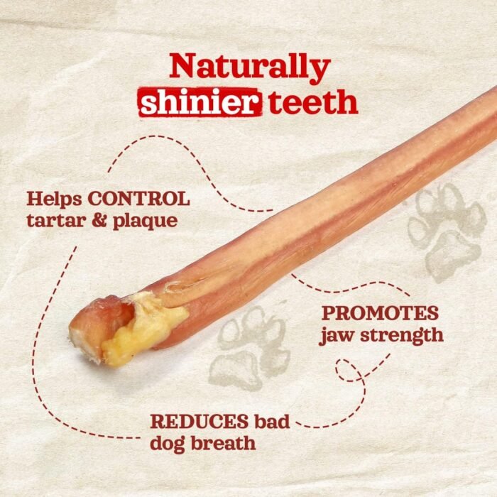 Natural Farm Odor-Free Thin Bully Sticks (12”, 25-Pack) All-Natural Long-Lasting Dog Chews, 100% Beef Pizzle, Grass-Fed, Grain-Free, Protein for Muscle Development & Energy, Perfect for Large Dogs - Image 4