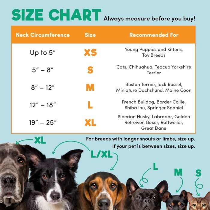 BENCMATE Protective Inflatable Collar for Dogs and Cats - Soft Pet Recovery Collar Does Not Block Vision E-Collar (XLarge, Donut-Strawberry) - Image 4