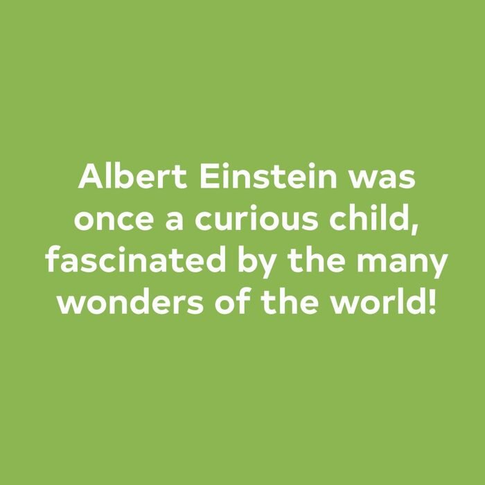 On a Beam of Light: A Story of Albert Einstein (Illustrated Biographies by Chronicle Books) - Image 4