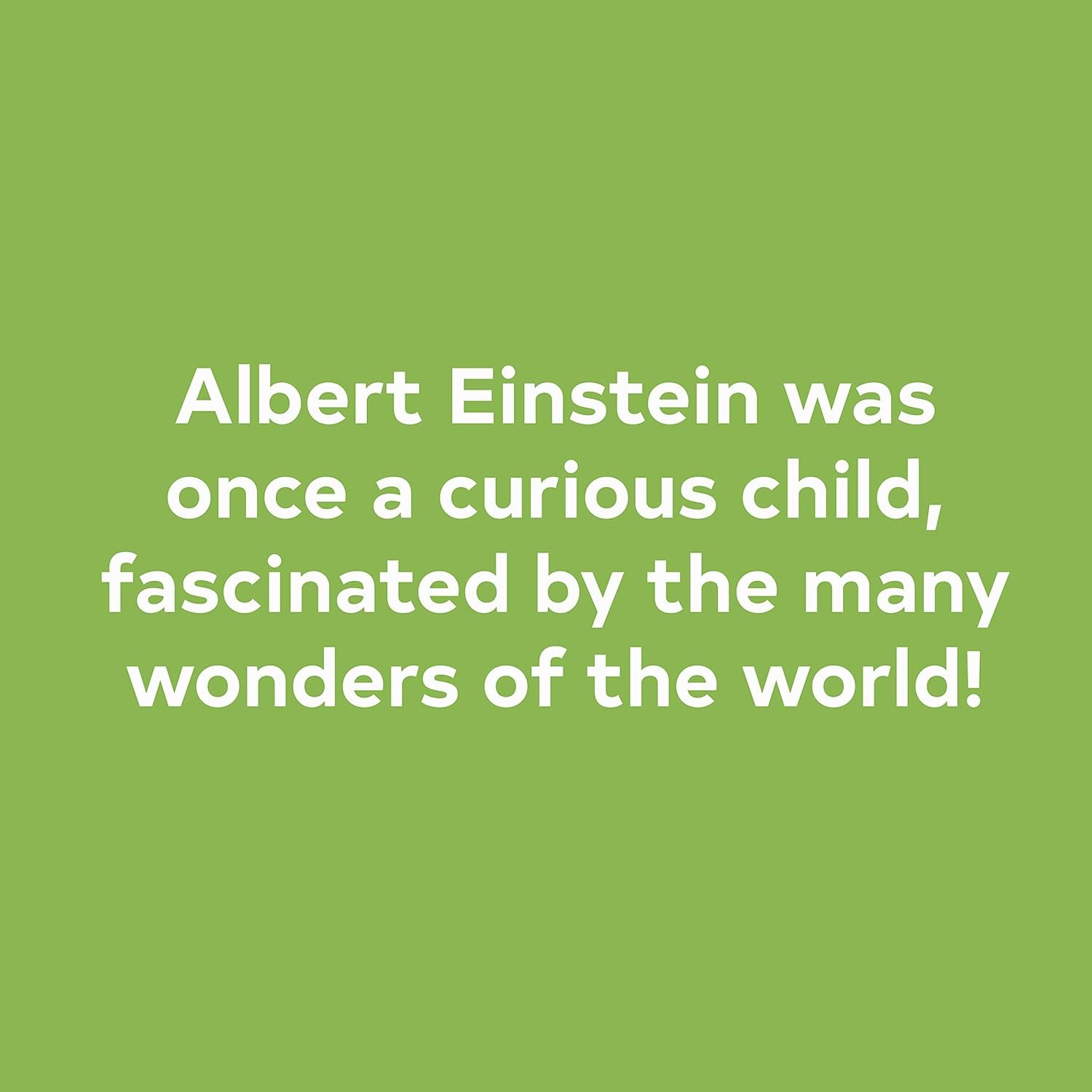 On a Beam of Light: A Story of Albert Einstein (Illustrated Biographies by Chronicle Books) - Image 4