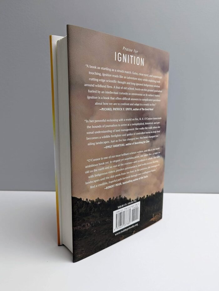Ignition: Lighting Fires in a Burning World - Image 4