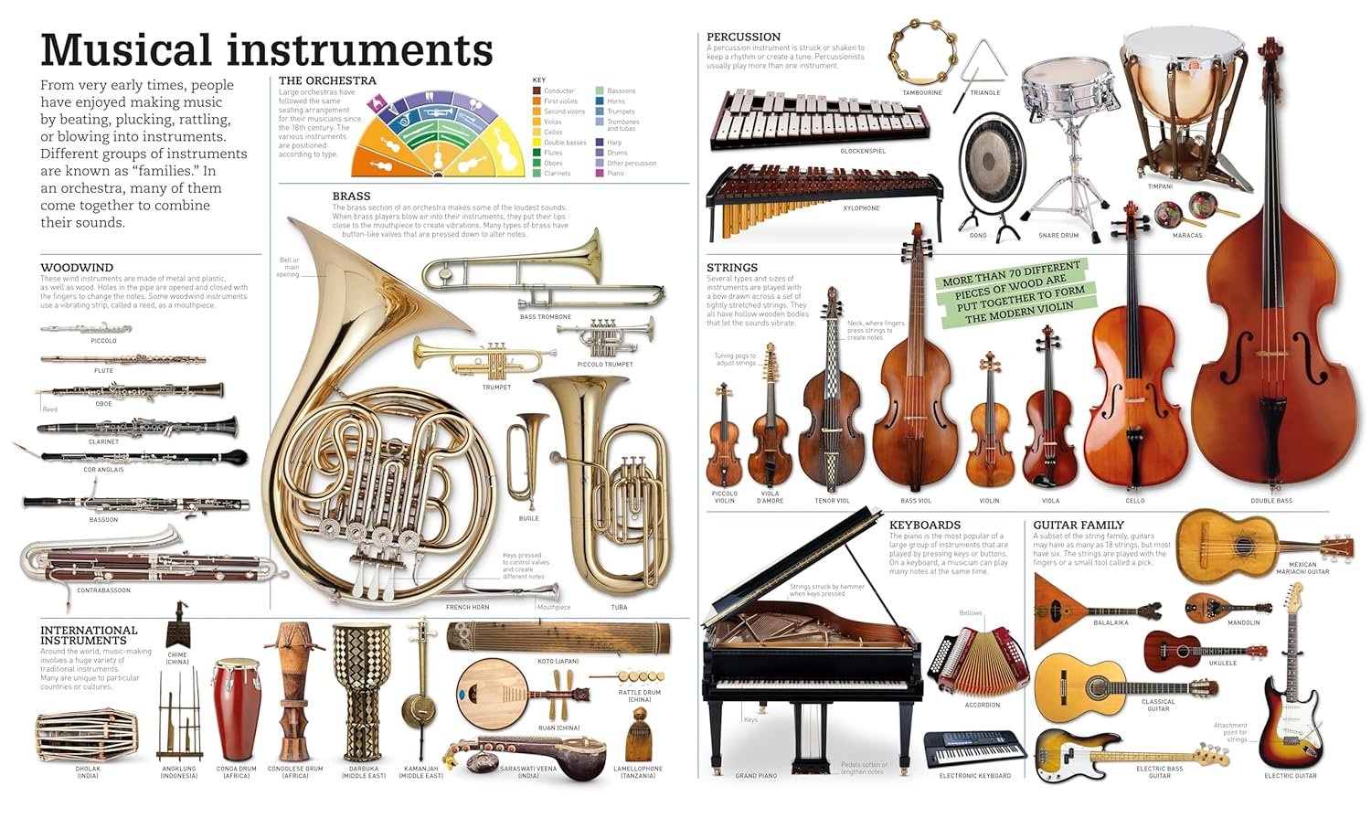 Picturepedia, Second Edition: An Encyclopedia on Every Page - Image 9