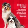 Good 'n' Fun Holiday Chews, Treat Your Dog to Fun Shaped Long Lasting Chews, Made Ingredients - Image 7