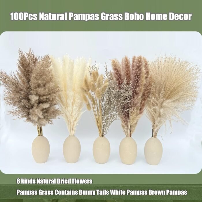100Pcs Pampas Grass Boho Home Decor 17 inch Natural Dried Flowers-Pampas Grass Contains Bunny Tails White Pampas Brown Pampas.Boho Decor for Farmhouse Wedding Boho Wall Bathroom Office Kitchen… - Image 3