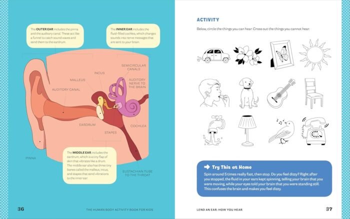 Human Body Activity Book for Kids: Hands-On Fun for Grades K-3 - Image 2