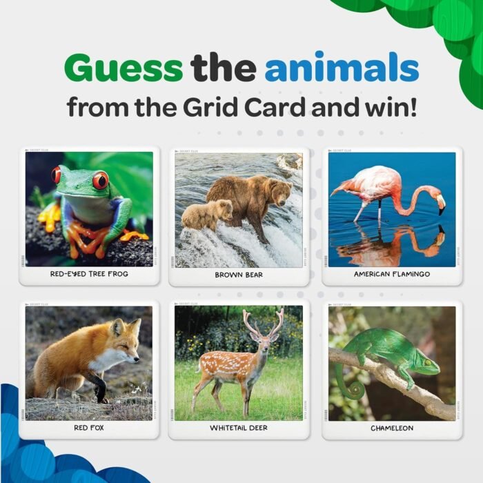 National Geographic: Secret Clue Animals - Card Game for Kids 7 & Up - Fun & Cooperative Board Games for The for Girls & Boys Ages 7, 8, 9, 10 - Image 4