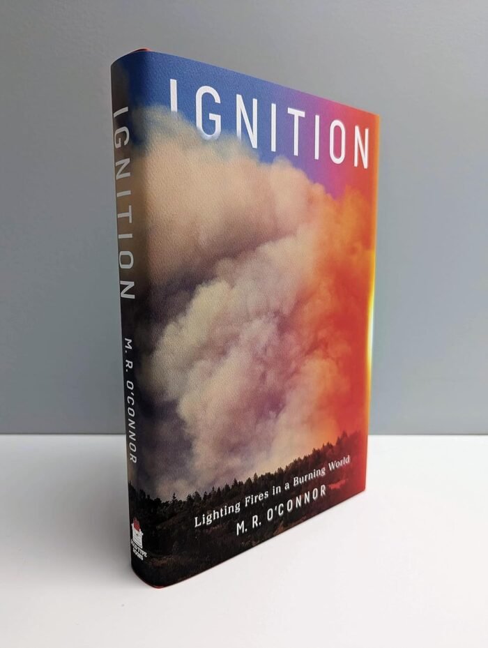 Ignition: Lighting Fires in a Burning World - Image 2