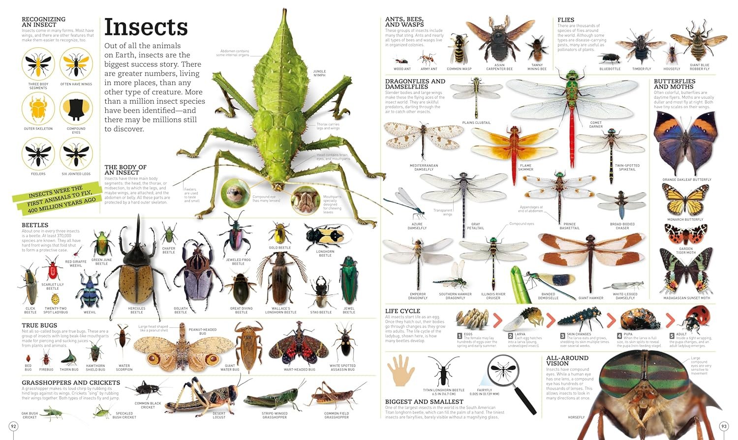 Picturepedia, Second Edition: An Encyclopedia on Every Page - Image 5