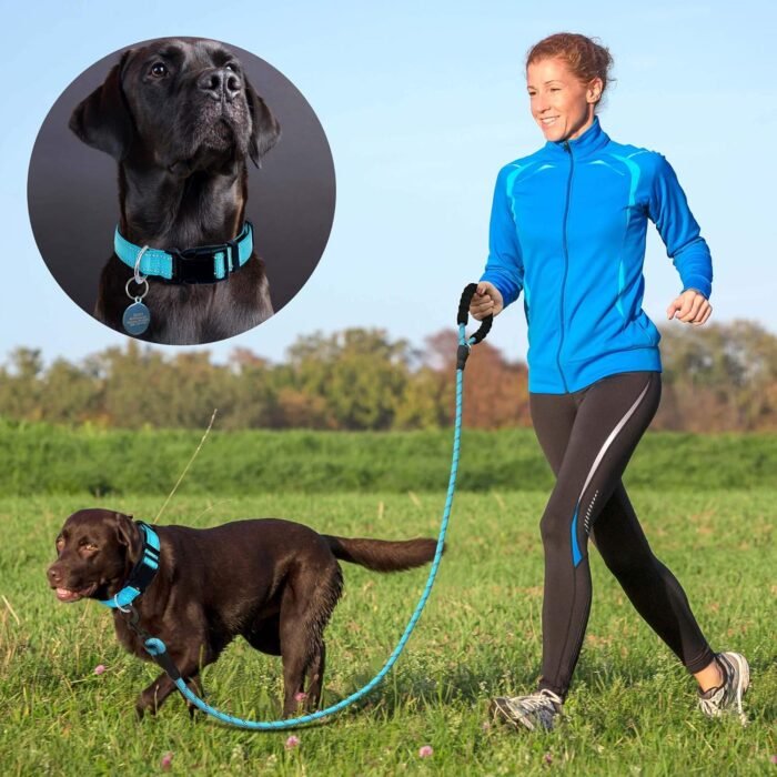 Reflective Dog Collar Padded with Soft Neoprene Breathable Adjustable Nylon Dog Collars for Small Medium Large Dogs (Collar+Leash L Neck 19"-23.5", Blue) - Image 5