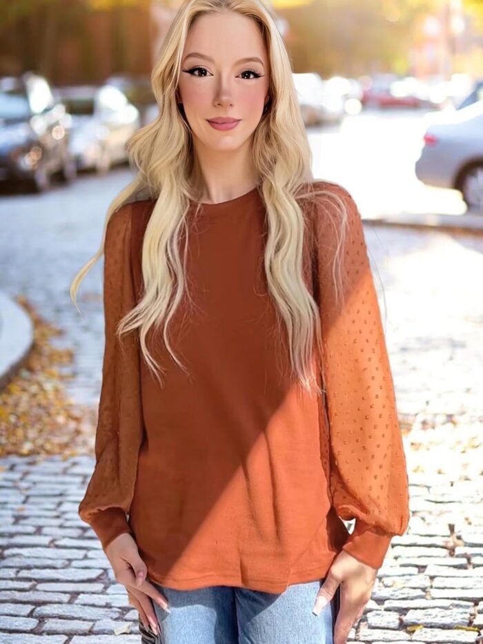 WIHOLL Long Sleeve Shirts for Women Tops Tunic Fall Trendy Crew Neck Clothes - Image 2
