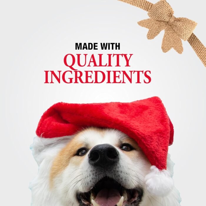 Good 'n' Fun Holiday Chews, Treat Your Dog to Fun Shaped Long Lasting Chews, Made Ingredients - Image 6