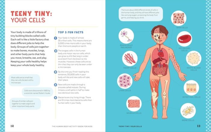 Human Body Activity Book for Kids: Hands-On Fun for Grades K-3 - Image 7