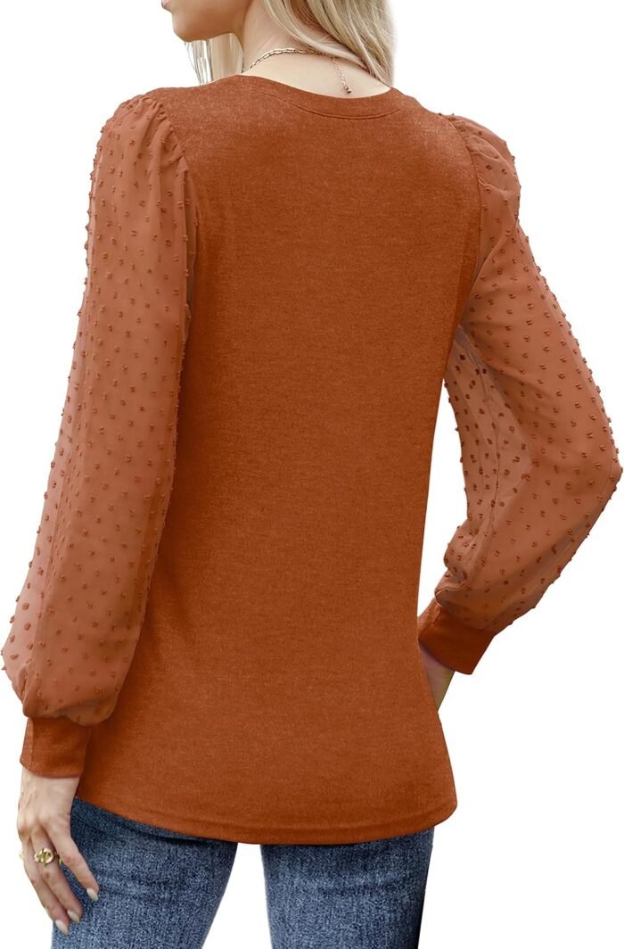 WIHOLL Long Sleeve Shirts for Women Tops Tunic Fall Trendy Crew Neck Clothes - Image 5