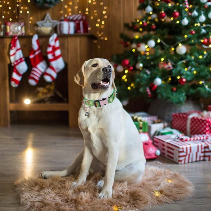 ADOGGYGO Christmas Dog Collar, Cute Christmas Tree Xmas Dog Collars Adjustable Soft Dog Christmas Collars for Small Medium Large Dogs (Large, Christmas Tree) - Image 2