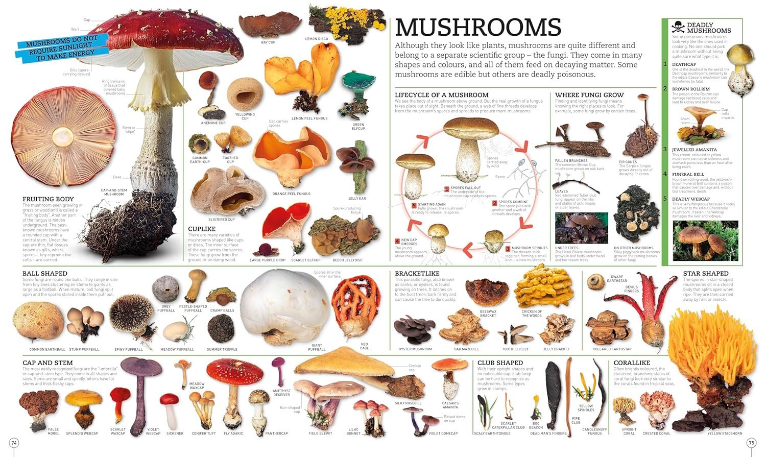 Picturepedia, Second Edition: An Encyclopedia on Every Page - Image 3