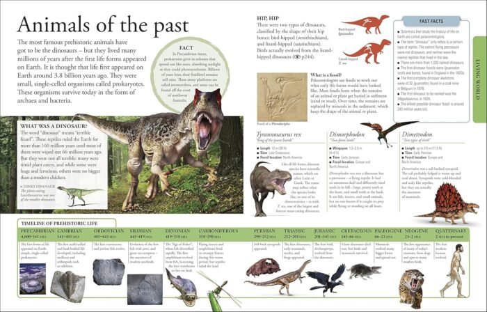 The New Children's Encyclopedia: Packed with thousands of facts, stats, and illustrations (DK Children's Visual Encyclopedias) - Image 4