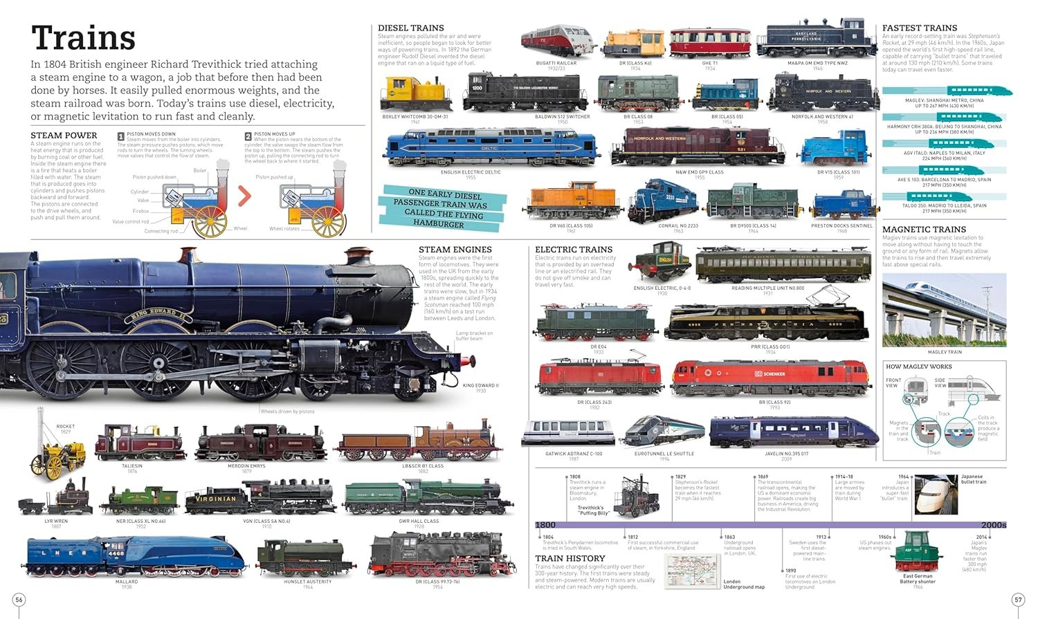 Picturepedia, Second Edition: An Encyclopedia on Every Page - Image 4