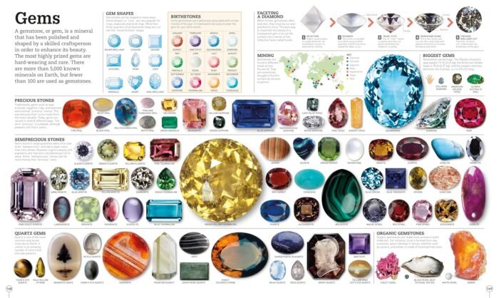 Picturepedia, Second Edition: An Encyclopedia on Every Page - Image 6
