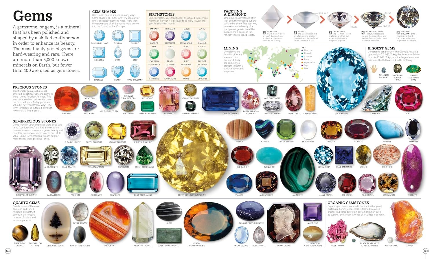 Picturepedia, Second Edition: An Encyclopedia on Every Page - Image 6