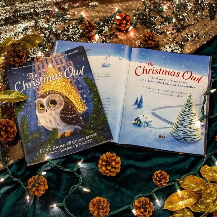The Christmas Owl: Based on the True Story of a Little Owl Named Rockefeller - Image 3