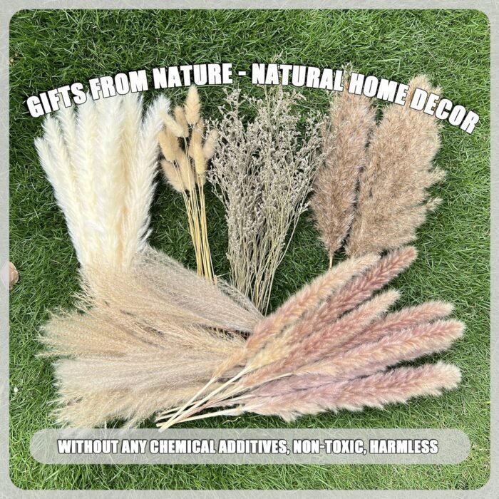 100Pcs Pampas Grass Boho Home Decor 17 inch Natural Dried Flowers-Pampas Grass Contains Bunny Tails White Pampas Brown Pampas.Boho Decor for Farmhouse Wedding Boho Wall Bathroom Office Kitchen… - Image 5