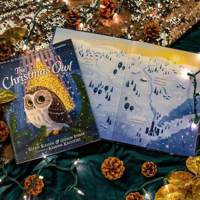 The Christmas Owl: Based on the True Story of a Little Owl Named Rockefeller - Image 7