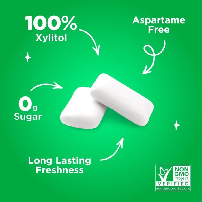 PUR Gum | Aspartame Free Chewing Gum | 100% Xylitol | Natural Spearmint Flavored Gum, 55 Pieces (Pack of 3) - Image 4
