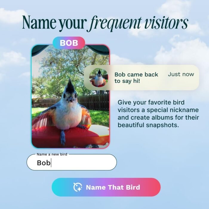 BIRD BUDDY® Original Solar Bird Feeder with Camera - AI Bird Species Identification, 5MP Photos, 2K HD+ Video Live Stream Camera, Solar-Powered Charging, 2.8in Focus - Blue - Image 5