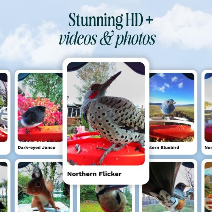 BIRD BUDDY® Original Solar Bird Feeder with Camera - AI Bird Species Identification, 5MP Photos, 2K HD+ Video Live Stream Camera, Solar-Powered Charging, 2.8in Focus - Blue - Image 2