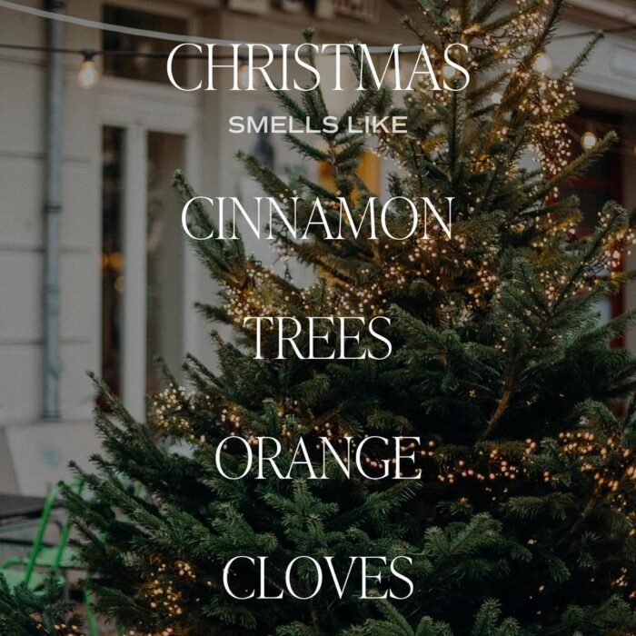 Sweet Water Decor Christmas Candle | Cinnamon, Trees, Orange, and Clove Scents | Christmas Candles and Decor for Home | 9oz. Clear Jar Soy Candle, Made in the USA - Image 2