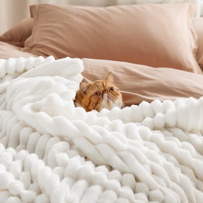 Bedsure White Throw Blanket for Couch - GentleSoft Cozy Soft Blankets for Women, Cute Small Fleece Throws for Girls, Off White, 50x60 Inches - Image 3