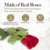 27 Preserved Roses in a Heart Box - Flowers Forever Valentine's Day, Roses Forever for Women, Roses Forever in a Box, Birthday Gifts for Her, Red - Image 4
