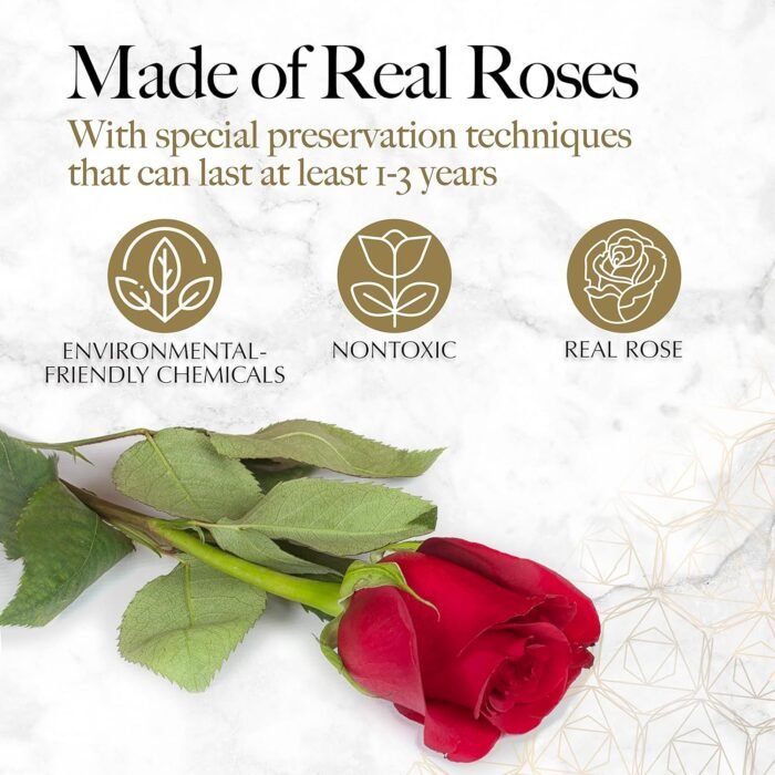 27 Preserved Roses in a Heart Box - Flowers Forever Valentine's Day, Roses Forever for Women, Roses Forever in a Box, Birthday Gifts for Her, Red - Image 4