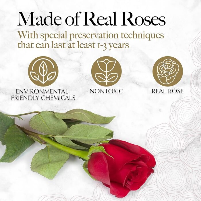 16 Flower Forever Heart Shape Box - Preserved Roses, Immortal Roses Gift for Her Rose Eternal Preserved Flowers for Mothers Day Women Valentines Day Gifts for Wife - Red - Image 2