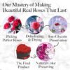 27 Preserved Roses in a Heart Box - Flowers Forever Valentine's Day, Roses Forever for Women, Roses Forever in a Box, Birthday Gifts for Her, Red - Image 8