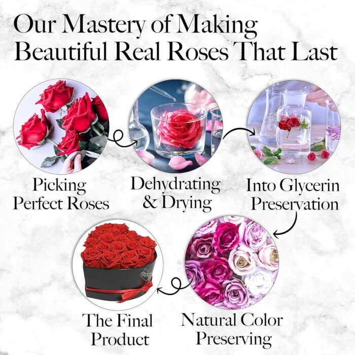 27 Preserved Roses in a Heart Box - Flowers Forever Valentine's Day, Roses Forever for Women, Roses Forever in a Box, Birthday Gifts for Her, Red - Image 8